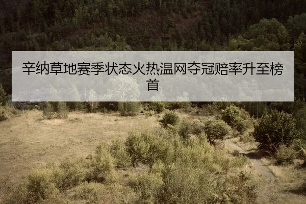 xin-na-cao-di-sai-ji-zhuang-tai-huo-re-wen-wang-duo-guan-pei-lv-sheng-zhi-bang-shou-2-202.jpg